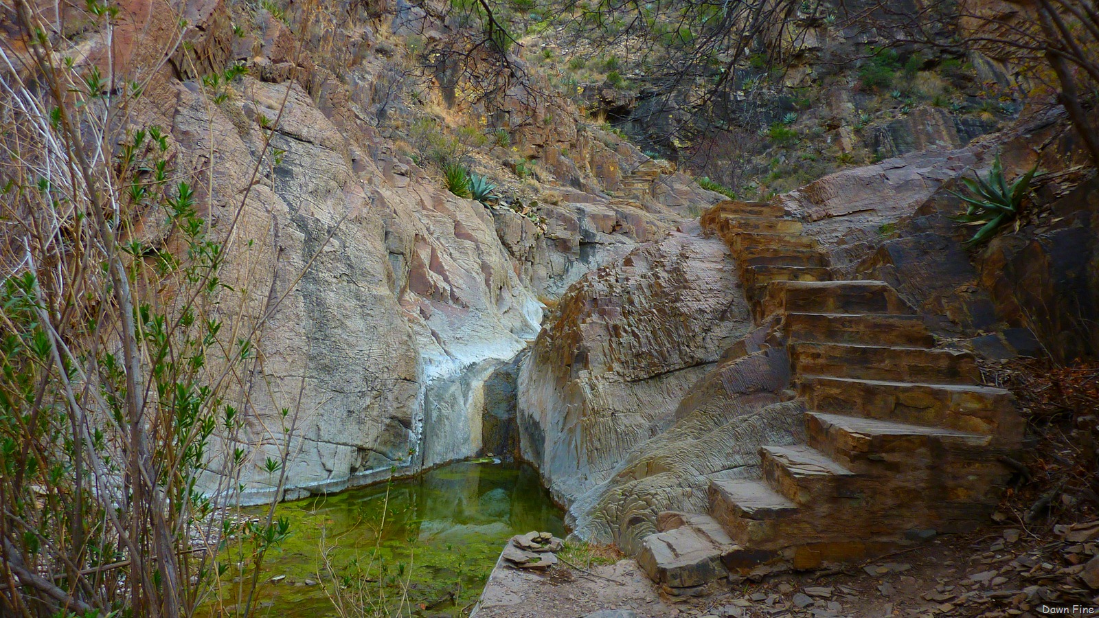 [Windowhike_0564.jpg]