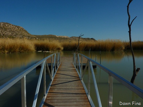 [Big Bend day 1_050[4].jpg]