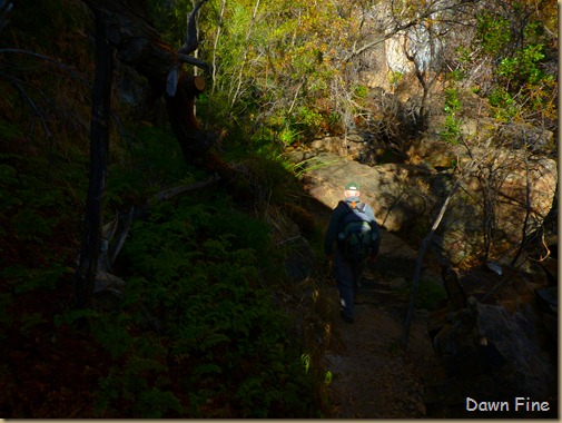 Cat tail Falls_024