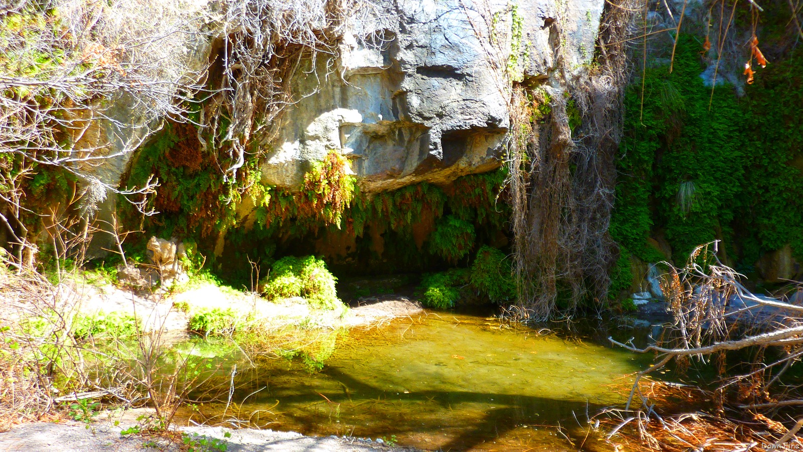 [Big Bend Ranch State park_023[3].jpg]