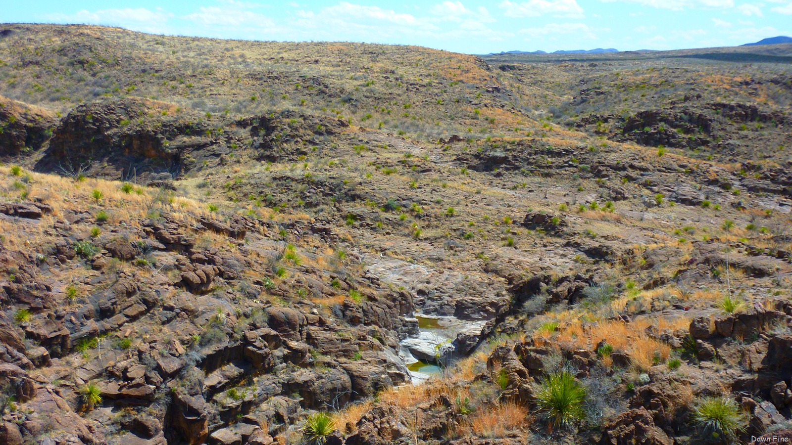 [Big Bend Ranch State park_069[3].jpg]