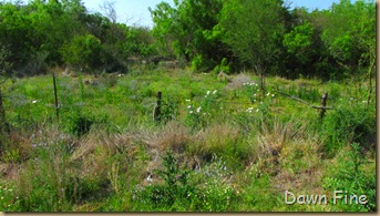 Casa blanca lake state park (52)