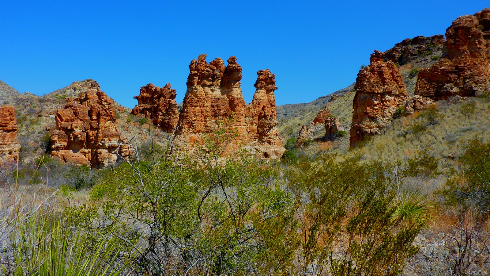 [LAStdaybigbend_0283.jpg]