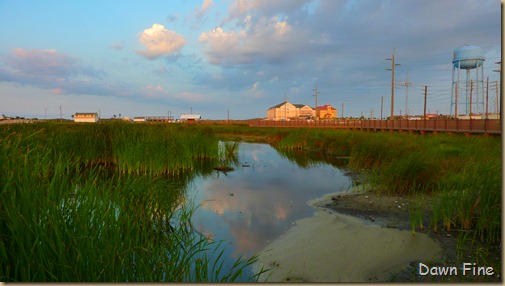 padre island fall out_022