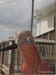 Slaughter Beach, De_20090516_039