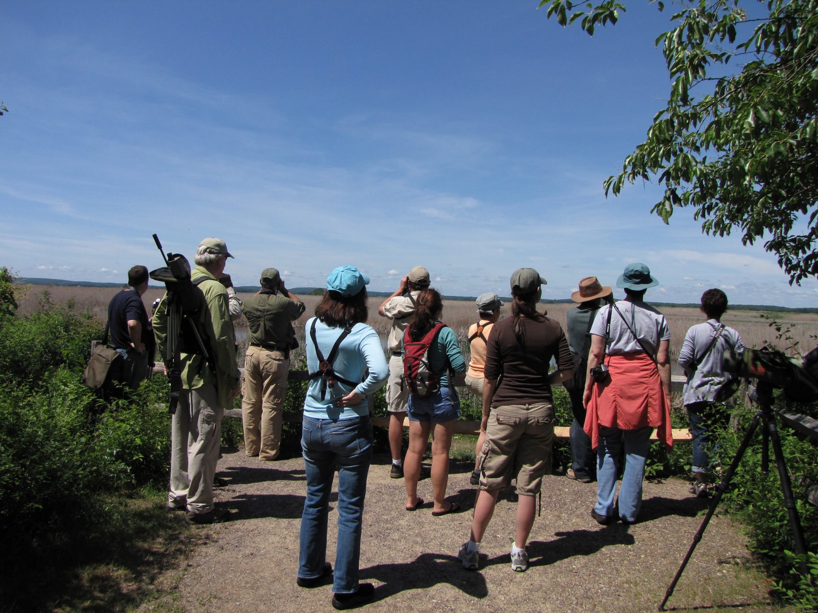[Birders who Blog, Tweet and Chirp_20090613_060[2].jpg]
