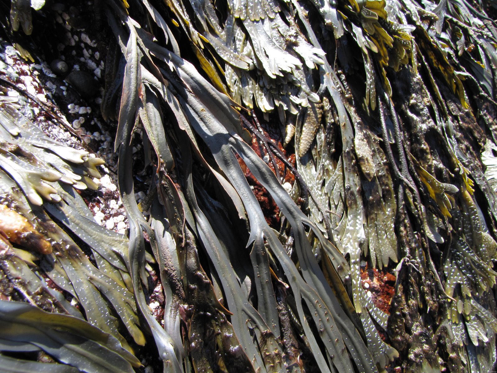 [GoodHarborbeachPassportrest._2009061[7].jpg]