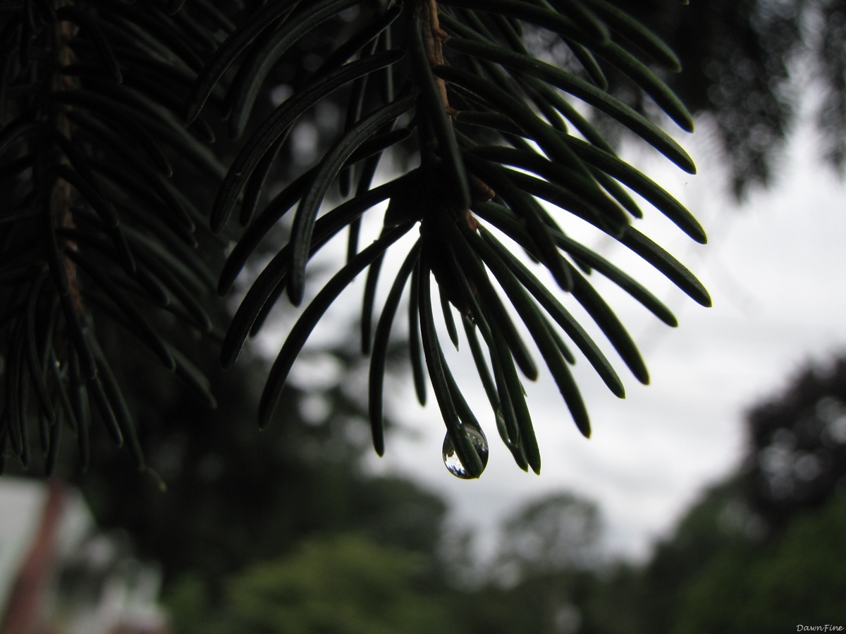 [Marla ave stuff_20090724_013[2].jpg]