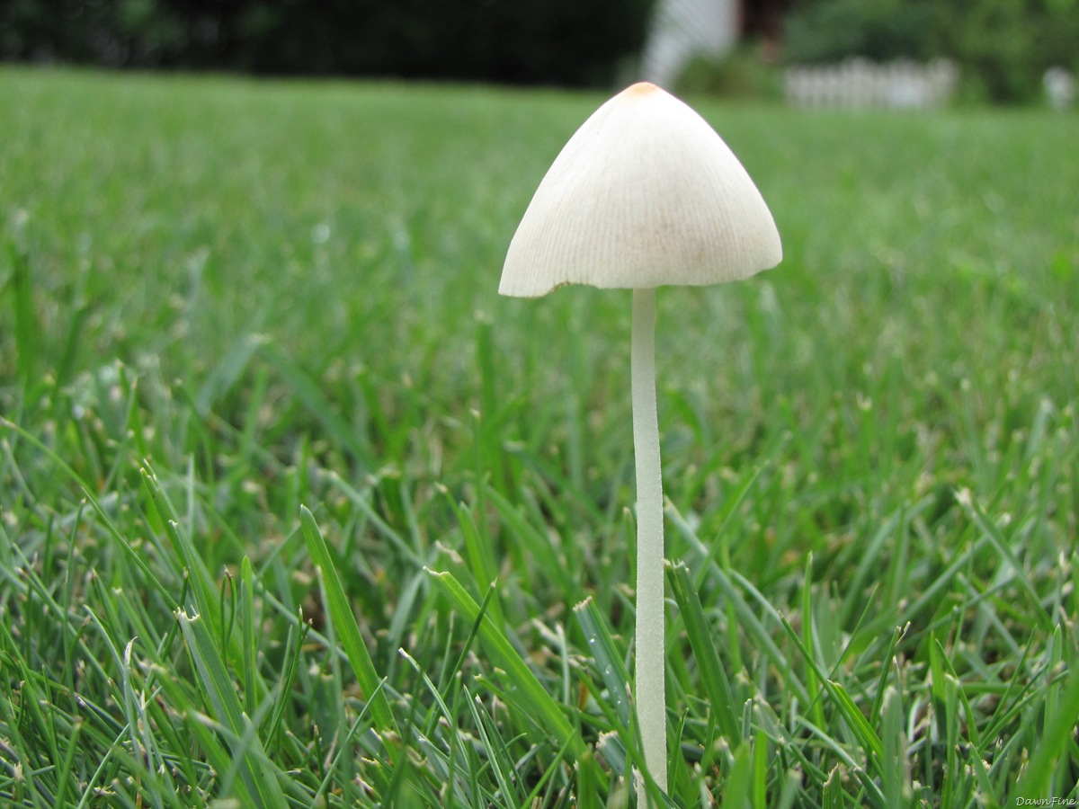 [Marla ave stuff_20090724_019[2].jpg]