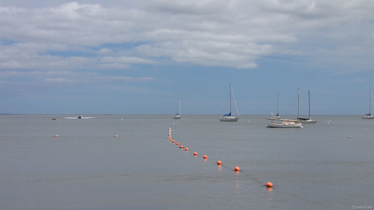 [Beach day_20090724_039[2].jpg]