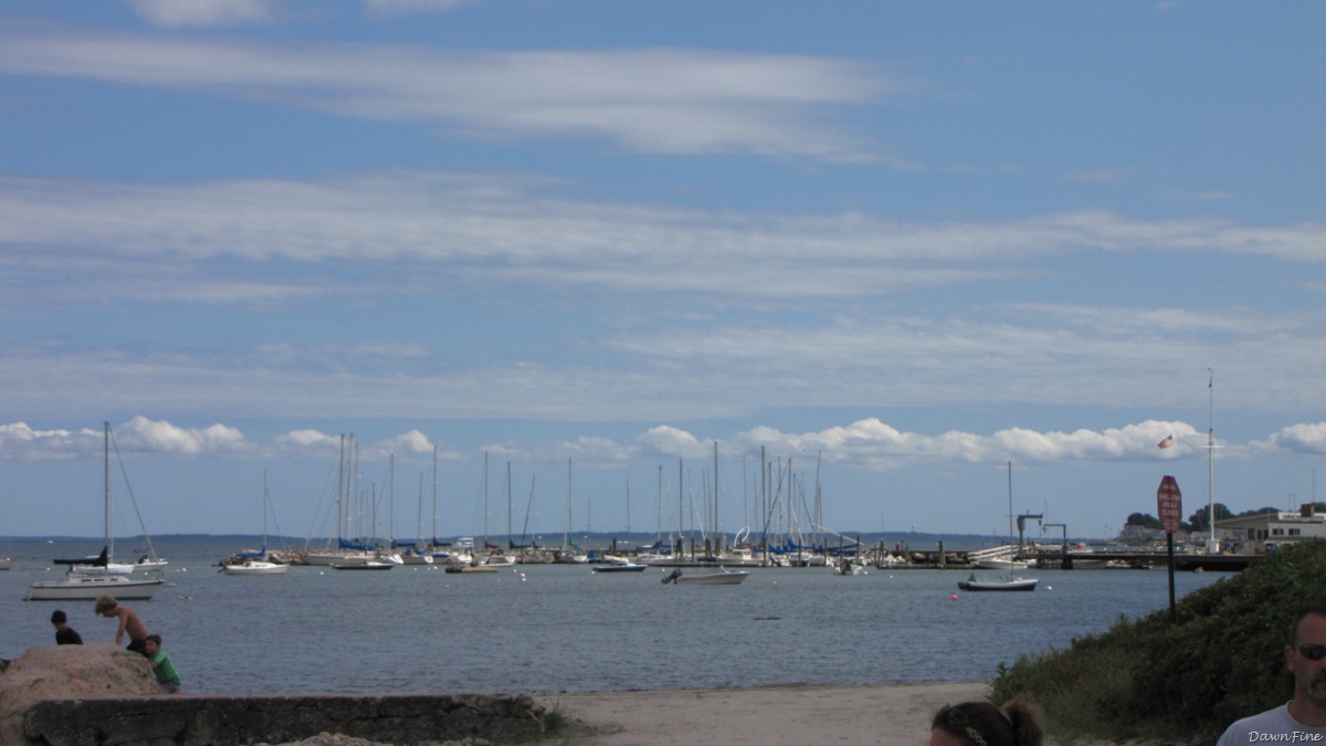 [Beach day_20090724_040[2].jpg]