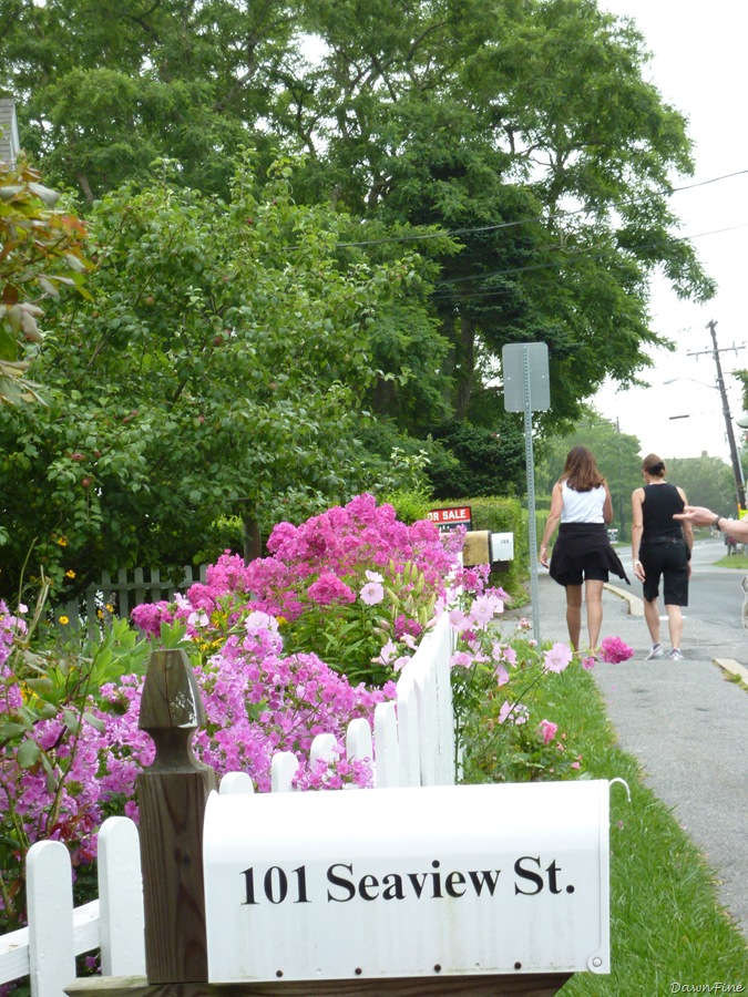 [Cape cod_20090730_016[2].jpg]