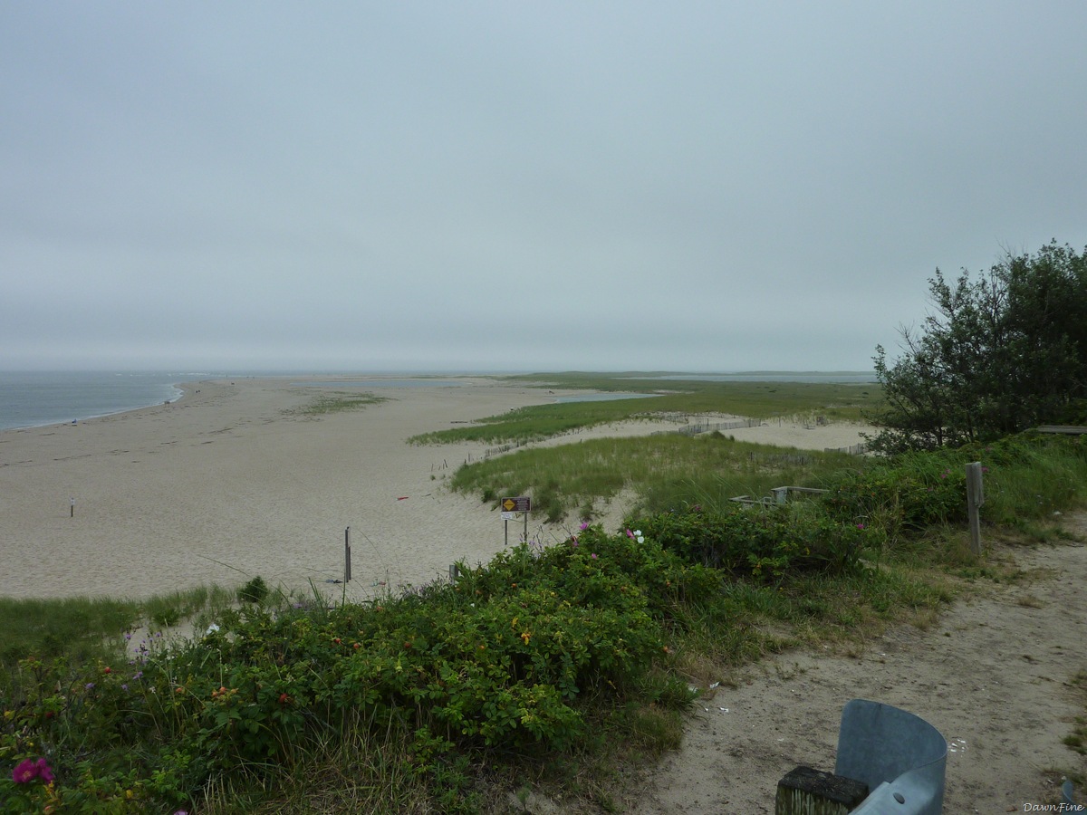 [Cape cod_20090730_024[2].jpg]