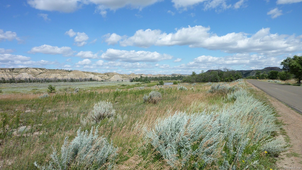 [TRoosv. NP_20090817_031[2].jpg]