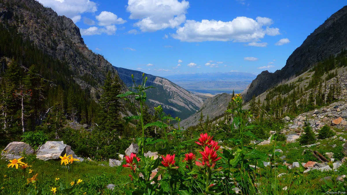 [Elephant mountain hike_20090825_083[3].jpg]