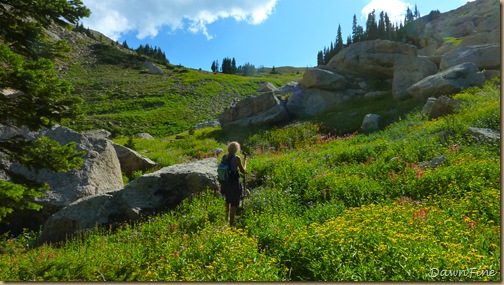 Elephant mountain hike_20090825_139