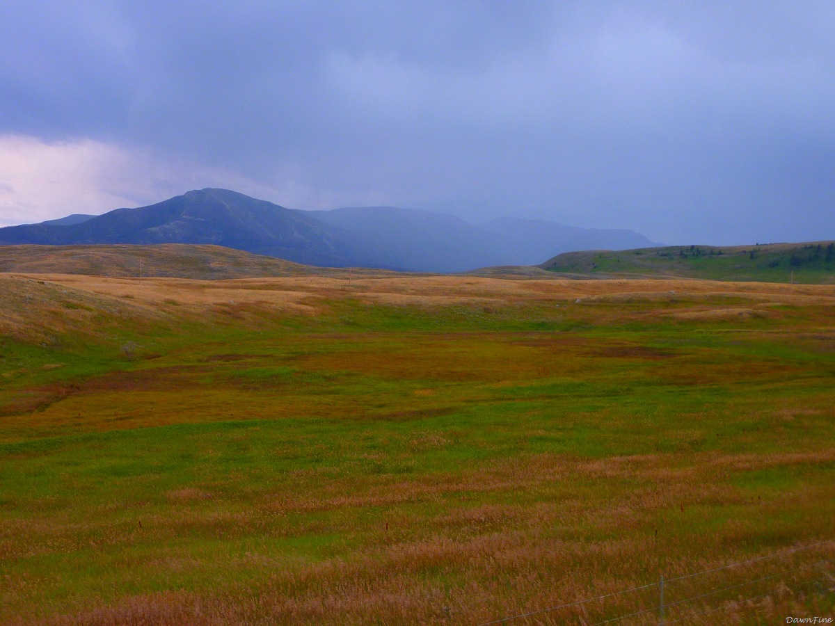 [Hike west boulder_20090822_188.jpg]