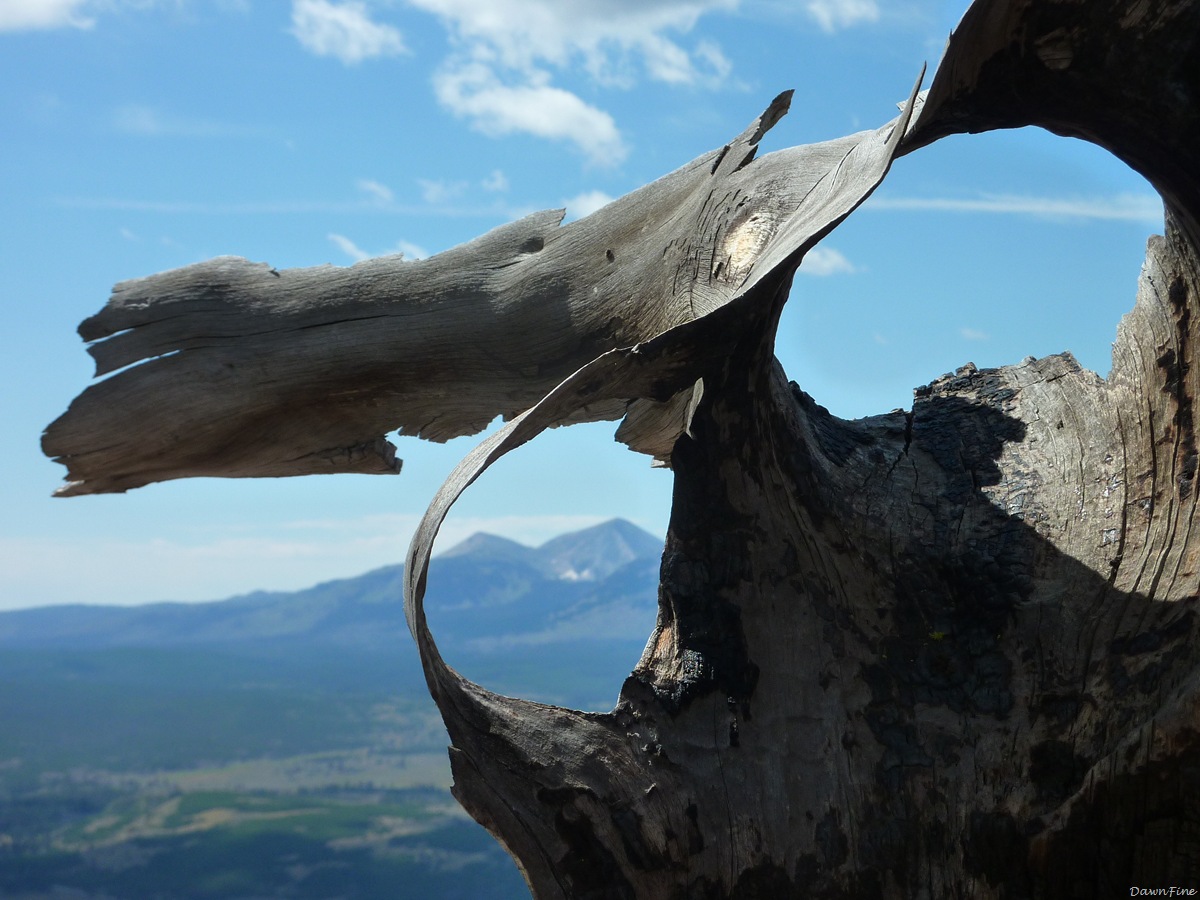 [Bunsonpeakhike_20090901_0422.jpg]