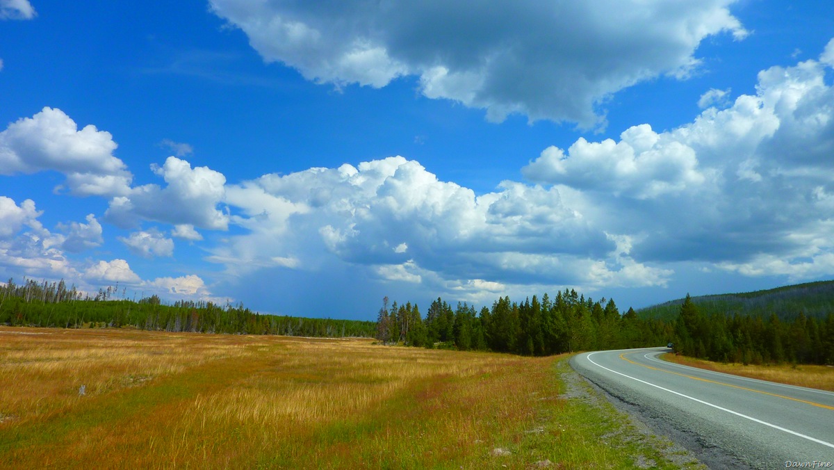 [mammoth to yellowstone lake car tour_20090903_008.jpg]