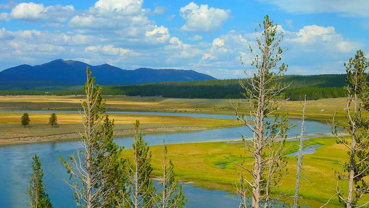 [mammoth to yellowstone lake car tour_20090903_032.jpg]