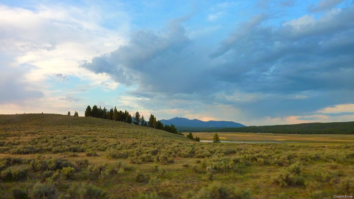 [mammoth to yellowstone lake car tour_20090903_155.jpg]