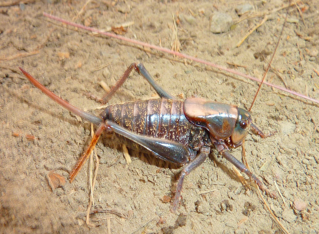 [two ocean lake hike_20090914_015[4].jpg]