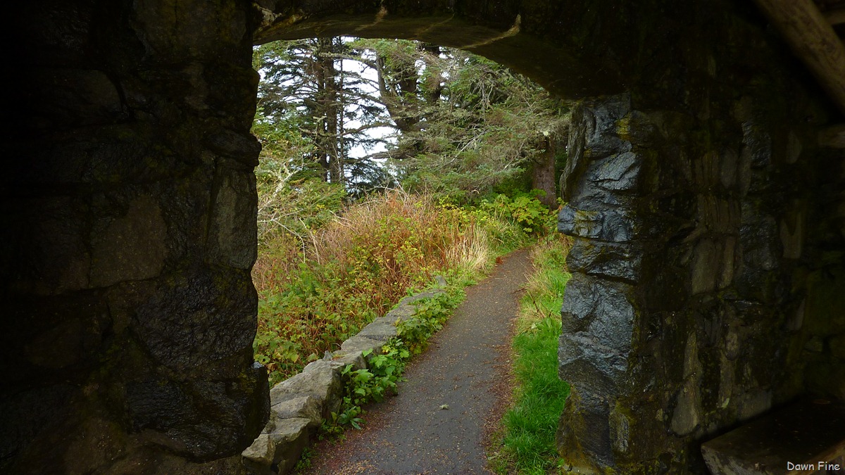[oregon coast drive_006[2].jpg]