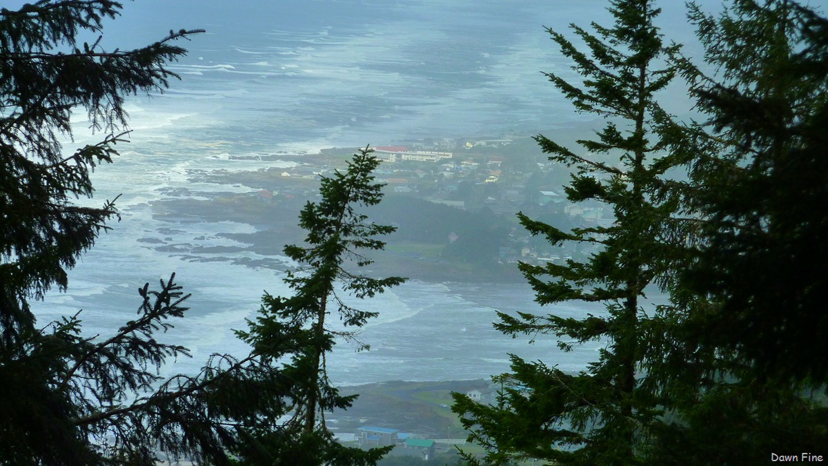 [oregon coast drive_010[3].jpg]