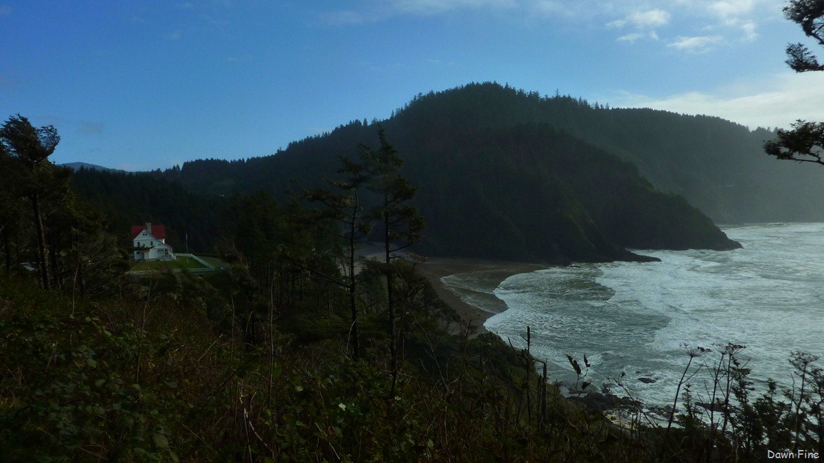 [oregon coast drive_034[3].jpg]