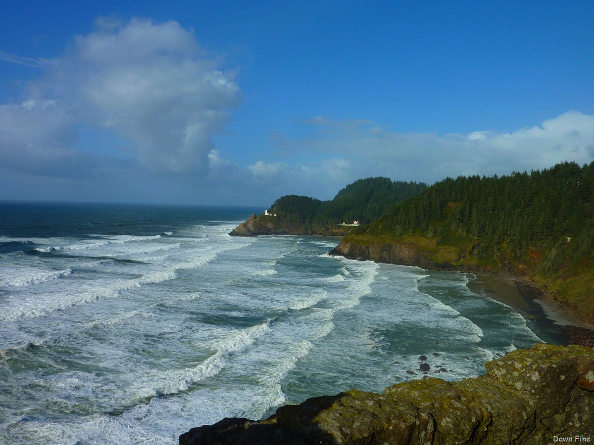 [oregon coast drive_045[3].jpg]
