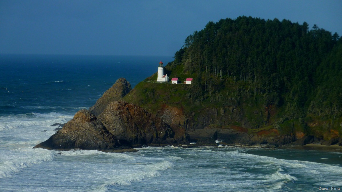[oregon coast drive_042[5].jpg]