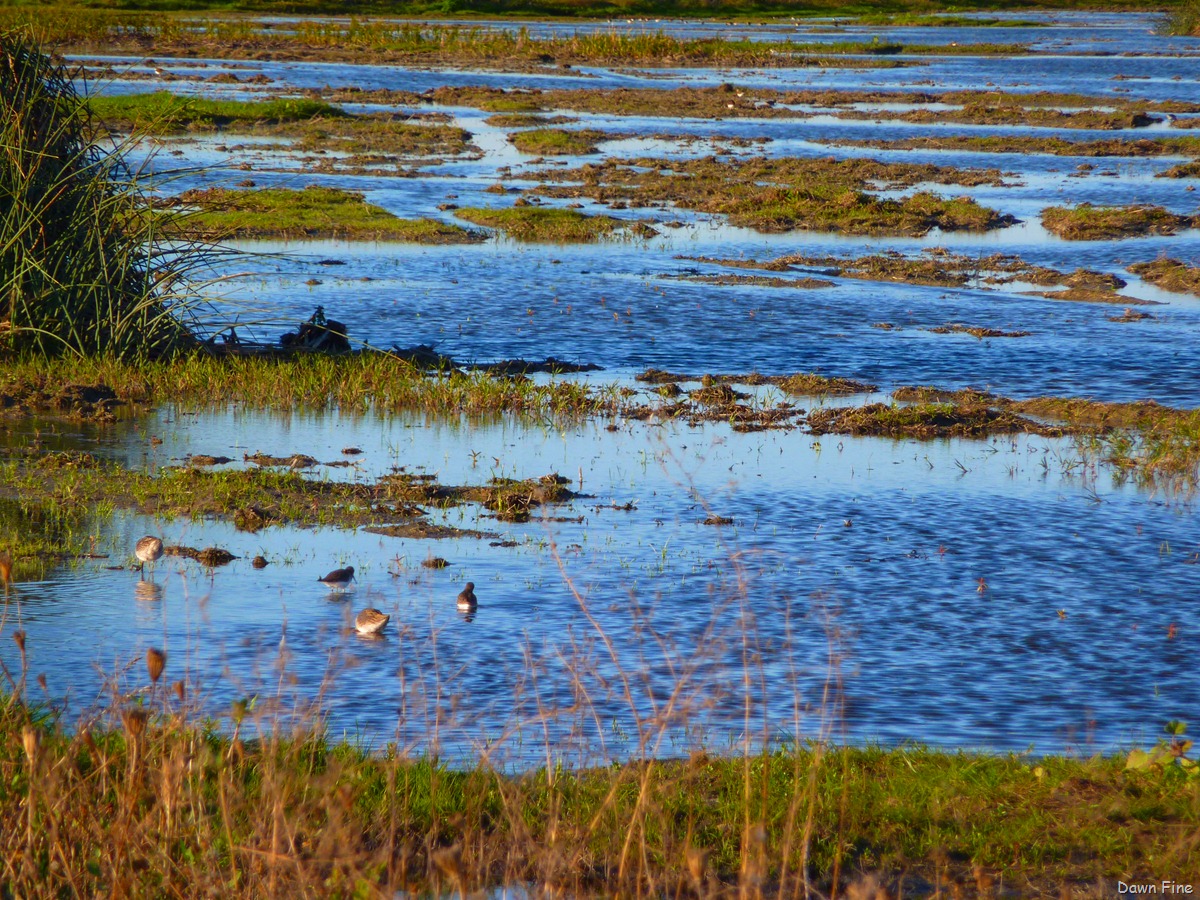 [UC Davis_040[3].jpg]