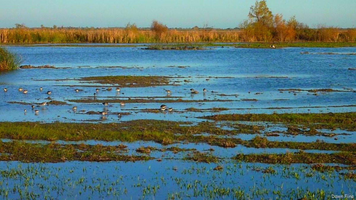 [UC Davis_045[3].jpg]