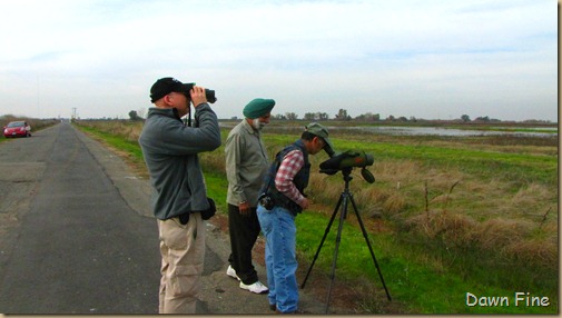 Consumnes birding_014 Consumnes birding_014