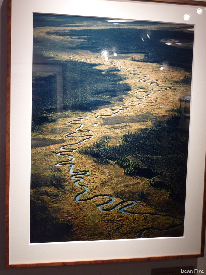 [SacArtwalk_0203.jpg]