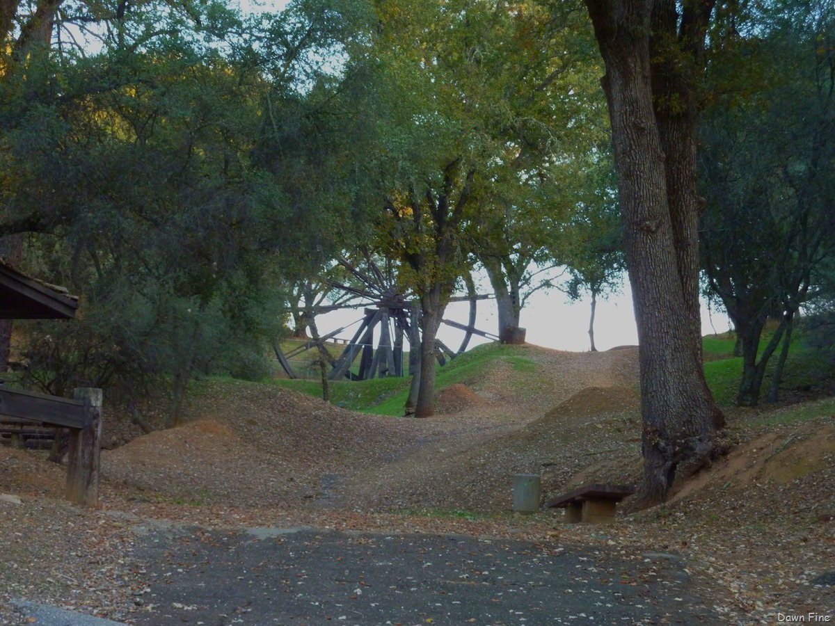 [CaliforniaGoldRushtour_0273.jpg]