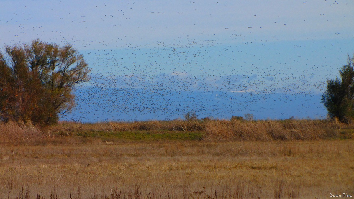 [BwBTC Sac_073[3].jpg]