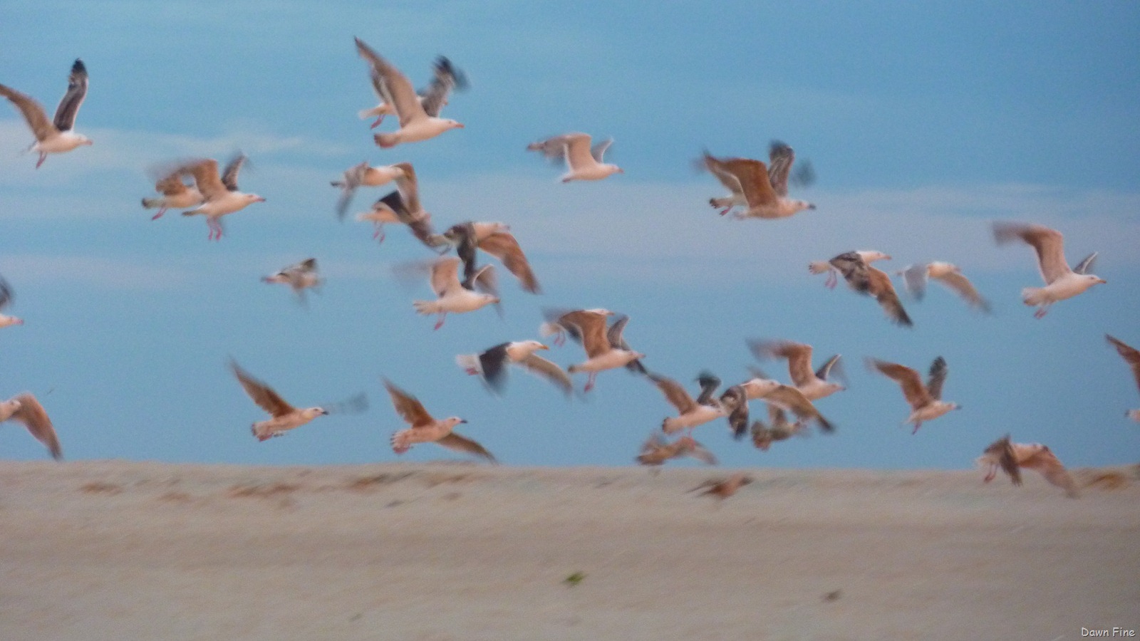 [sunset chatham_036.jpg]