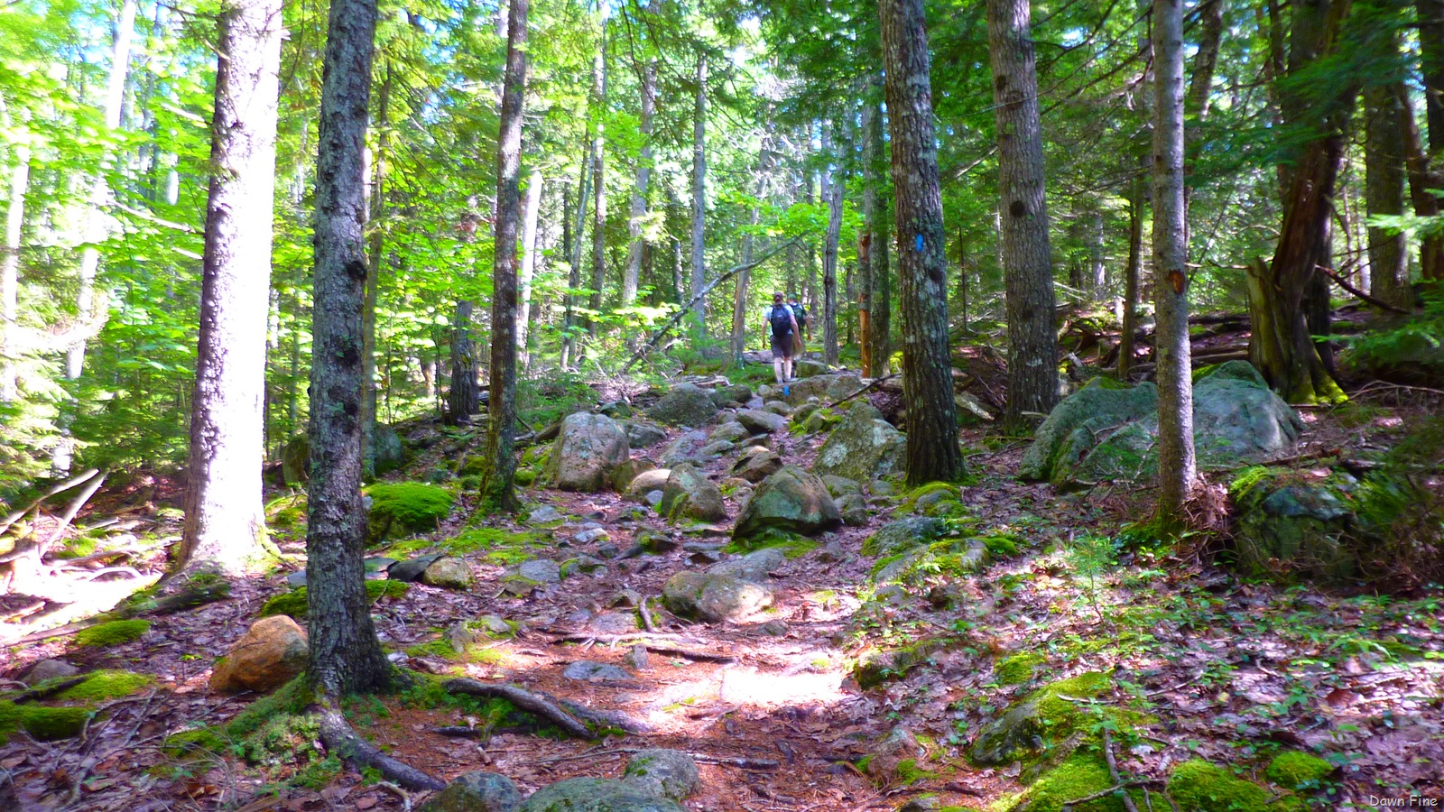 [Sargent mountain hike_021.jpg]