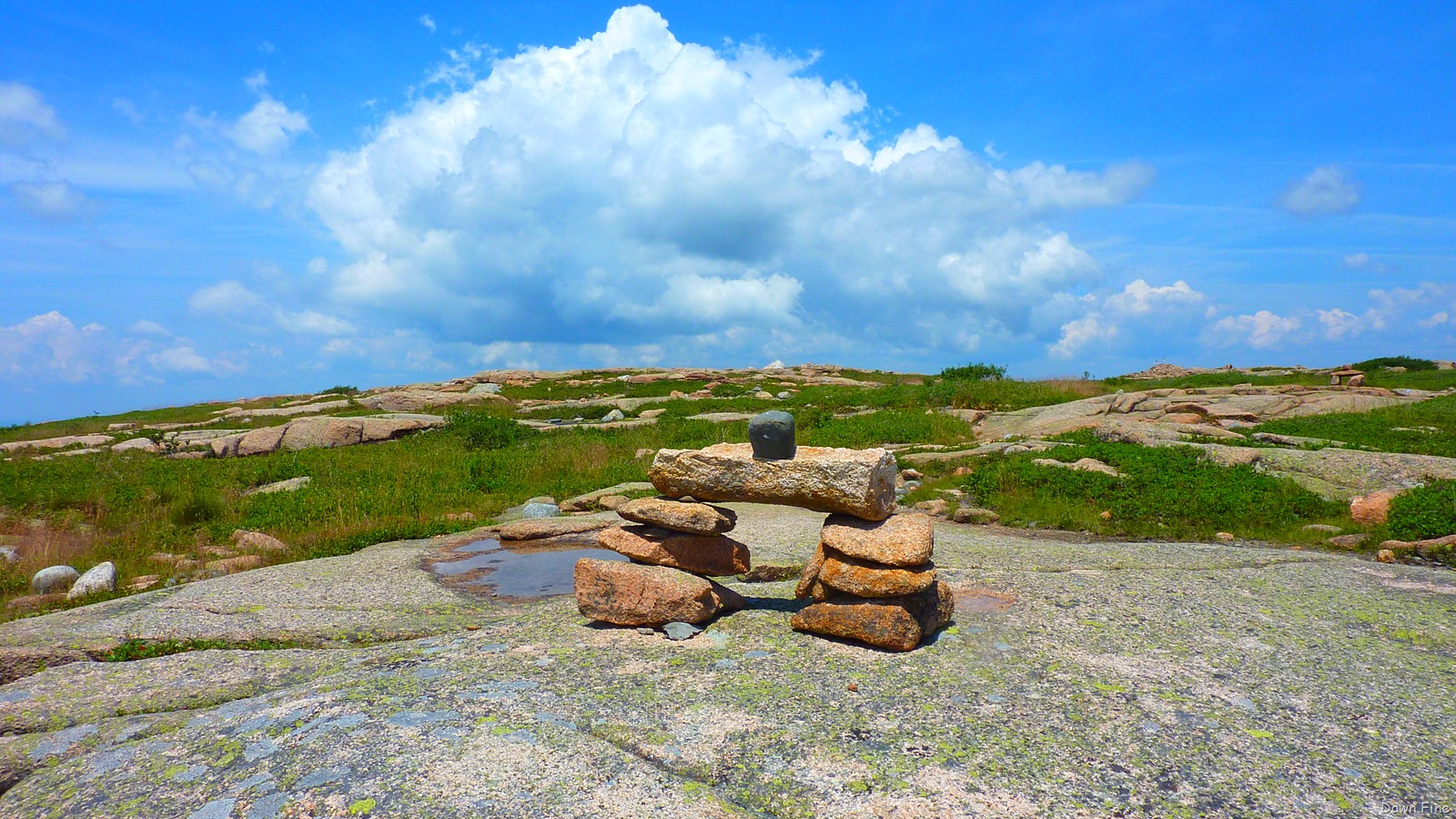 [Sargentmountainhike_1005.jpg]