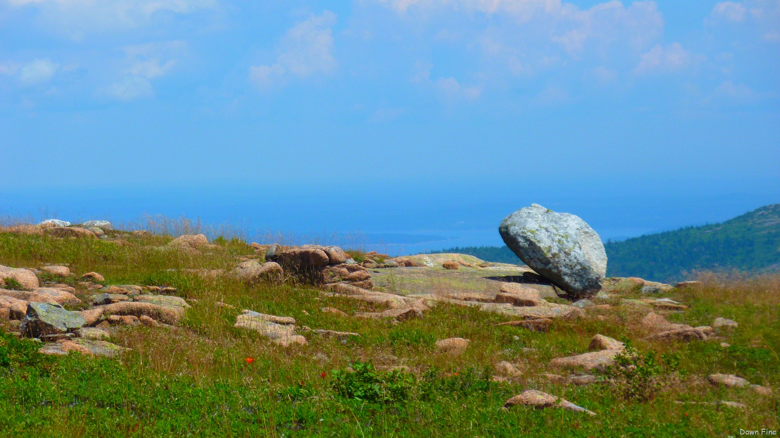 [Sargentmountainhike_1034.jpg]