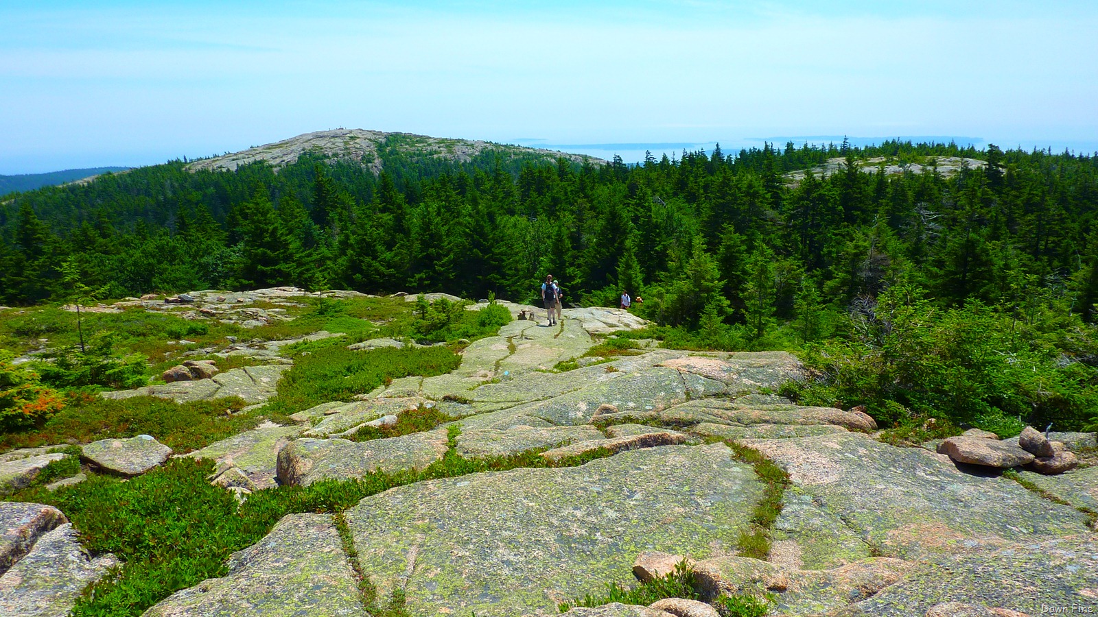 [Sargentmountainhike_1304.jpg]