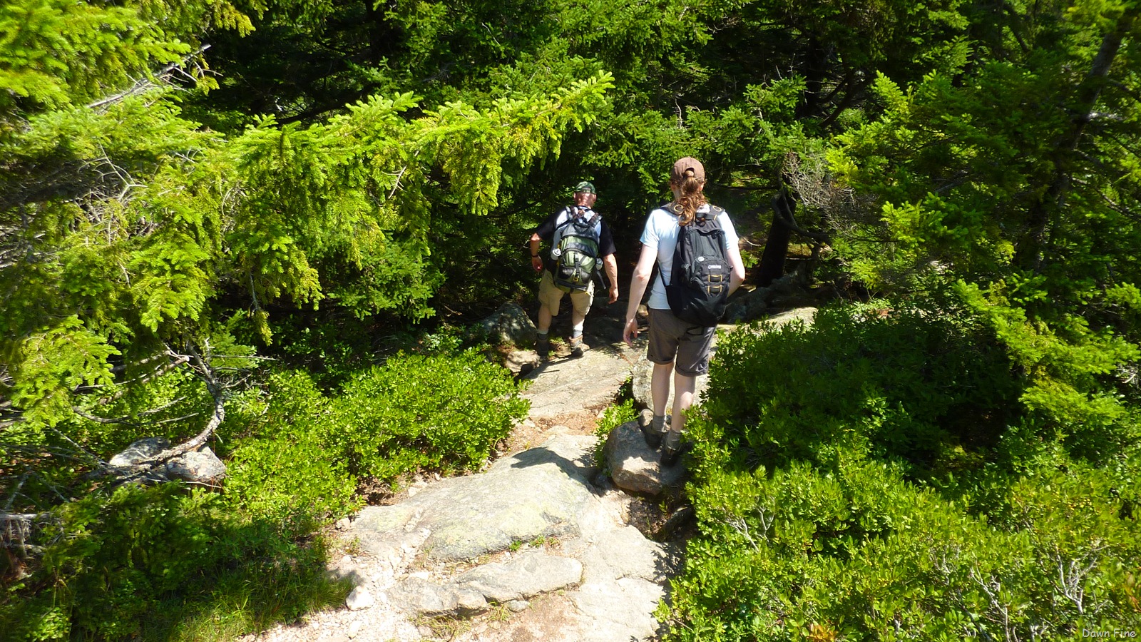 [Sargentmountainhike_1363.jpg]