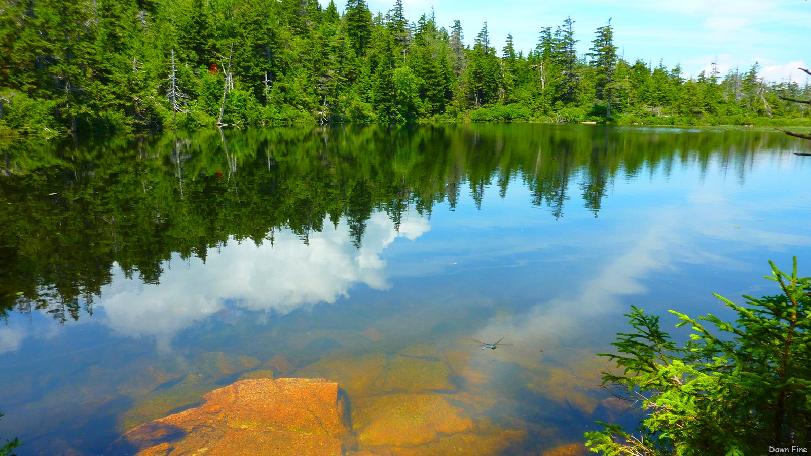 [Sargentmountainhike_1373.jpg]