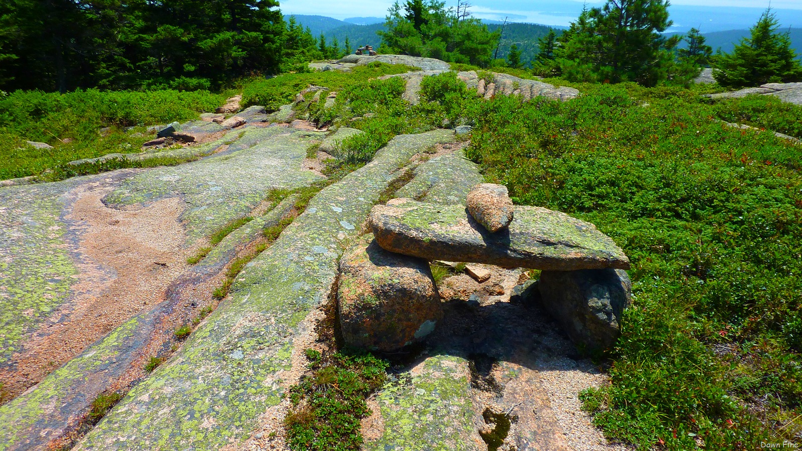 [Sargentmountainhike_1524.jpg]