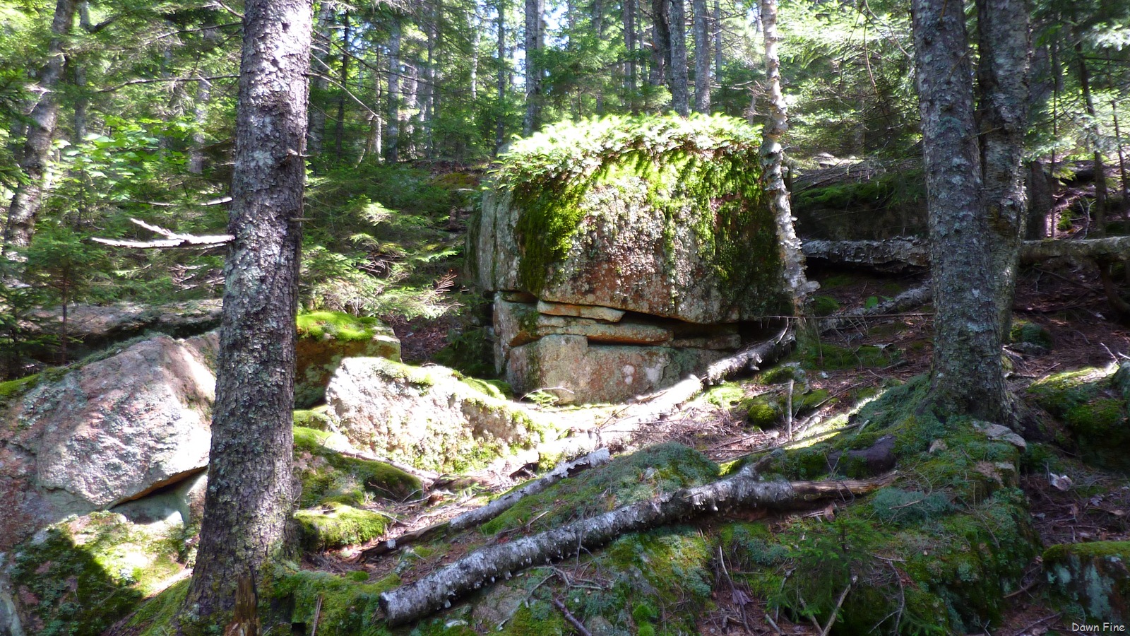 [Sargentmountainhike_1682.jpg]