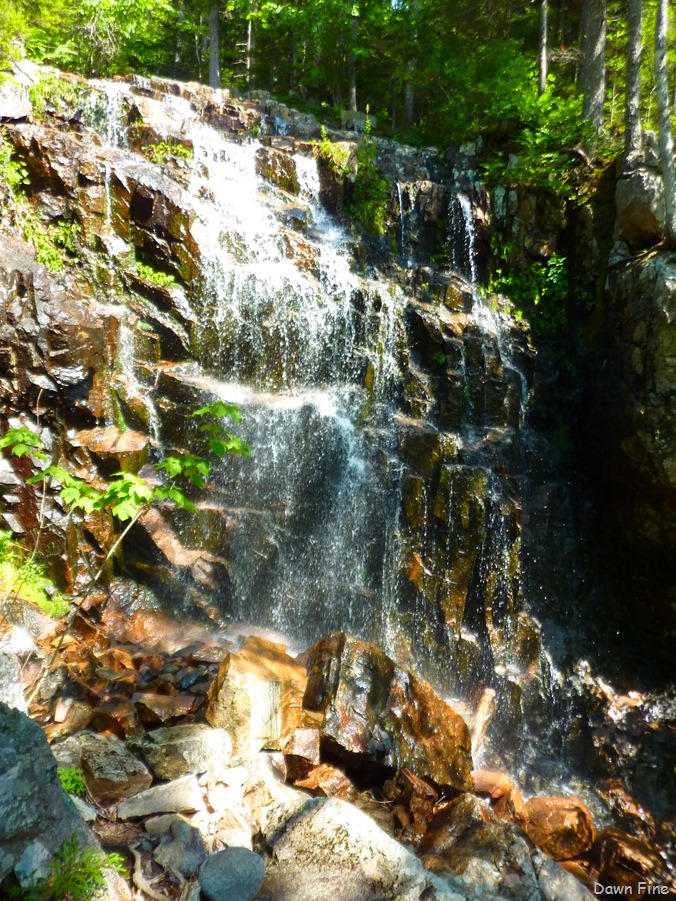 [Sargentmountainhike_1784.jpg]