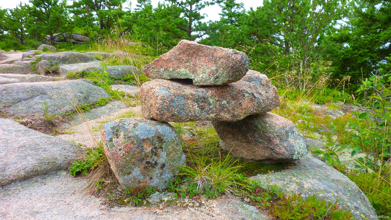 [Gorham mt hike_057.jpg]