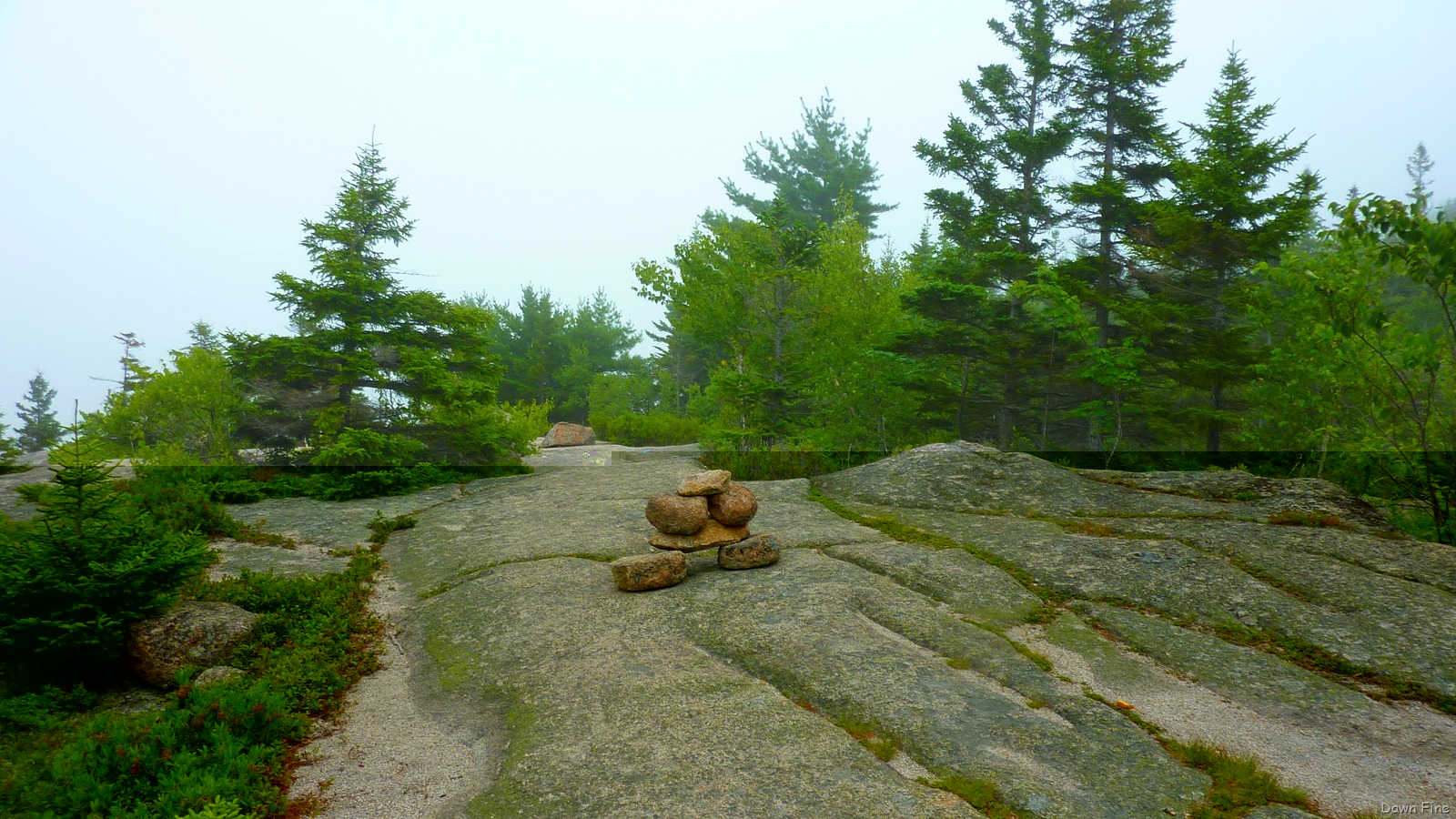 [Gorham mt hike_120.jpg]
