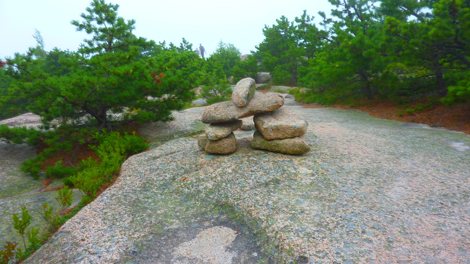 [Gorham mt hike_127[1].jpg]